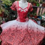 Vestido Huasa competición diseñado en bistrech