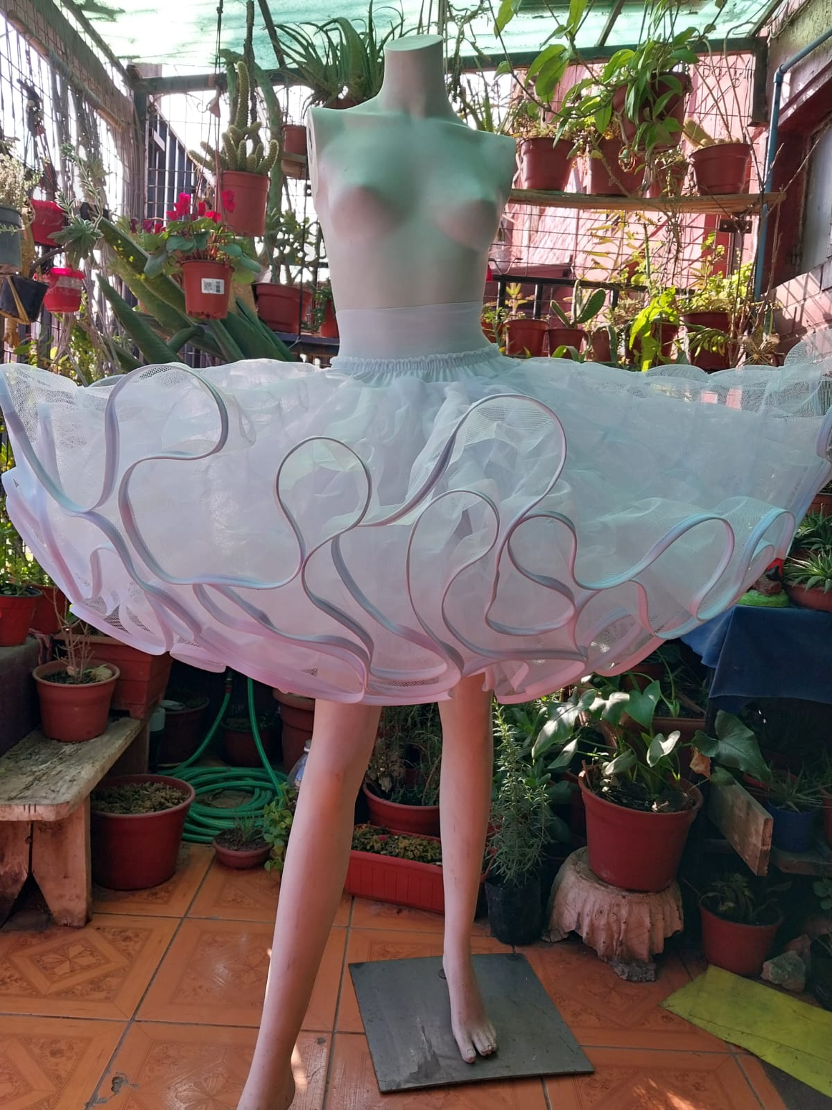 Imagen de WhatsApp 2024-08-20 a las 14.55.35_9233e40d